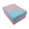 shoes packaging box (2)